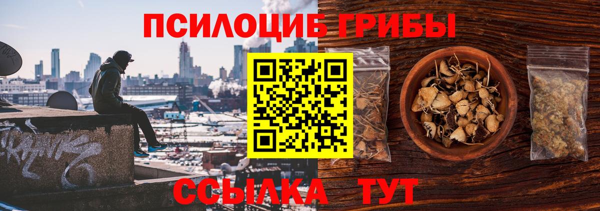 Псилоцибиновые грибы Cubensis Кубинка